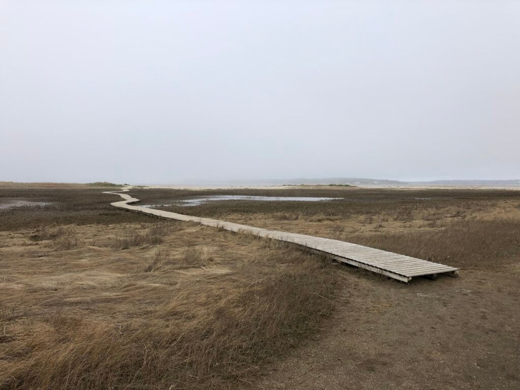 Process project by Custom Crafted Homes on Cape Cod - image 01